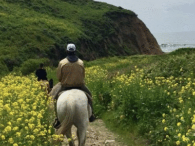 Five Brooks Ranch + Stables: Point Reyes National Seashore
